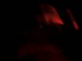 videos de la renga
