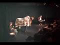 Mr. Gallops, The Talking Horse Comedian!
