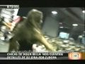 agua bella   en américa espectaculos