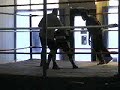 MacDaddy vs STD