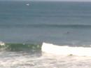 videos Surf