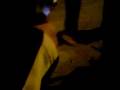 videos de la bomba enel tomiyar,,,lo wapo es el final