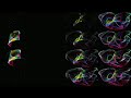 fly through of de jong attractor phase space