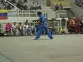 II Sulamericano de Wushu - Daoshu