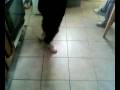 Nicole Ravin In Bianca`s Kitchen =D.mp4