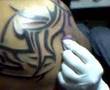 minha tatooo
