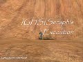 HALO EXECUTIONS HALO EXECUTIONS