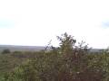 videos de KEN_Van_NairoNatlPark.AVI