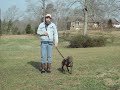 Baby G Obedience Training