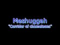 Meshuggah - Corridor of Chameleons