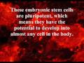 Assignment5-stemcells.wmv - Melissa M.