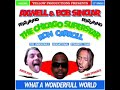 Axwell & Sinclar ft. Ron Carroll - What a Wonderful World