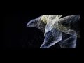Thy Veils - Within the Ludic Ocean - demo