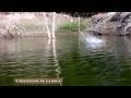 Topwater fishing with Triggerfish, the steerable lure in HD.