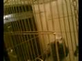 videos de 19800101_000002.AVI