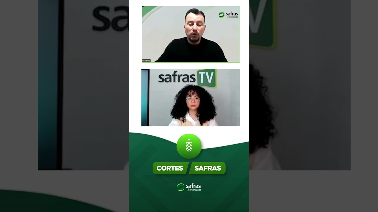 O mercado de trigo segue exigindo atenção