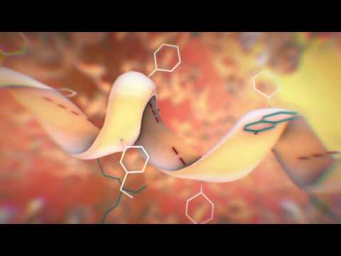 MicroCal PEAQ-DSC: the Future of Protein Stability Characterization