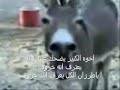 طرزان السعودية خروف شات بنات السعودية