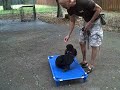 Oct 15 2008 - VID00056