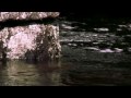 The Xx  -  Heart Skipped A Beat (video + lyrics)