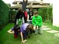 Piramide Humana ._.