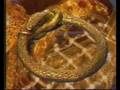 Opera: The Rhinegold, Part III, The Ring of Nibelung, Wagner