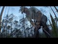 Worms Gruntin in Sopchoppy Florida