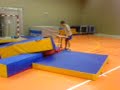 Handball style free