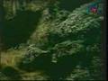Azerbaijan History Caucasian Albania