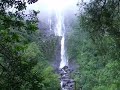 wairere falls with a spider eating a bug
