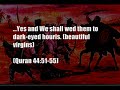 The prize of Jihad is a paradise full of sex and drinks The prize of Jihad is a paradise full of sex and drinks