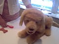 Furreal Friends Biscuit