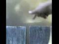 videos de pesca 1
