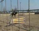 Friary RC - Clonshire April 07 - Declan Clear Rd Jump Friary RC - Clonshire April 07 - Declan Clear Rd Jump