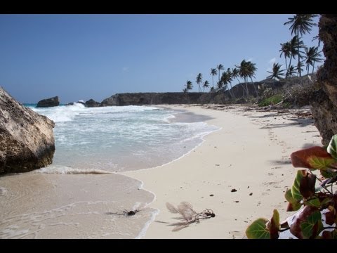Beaches of Barbados