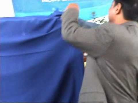 how to cure urethritis