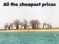 Cheapest Airline Tickets Airfares : TRANSVOYAGES.COM Cheapest Airline Tickets Airfares : TRANSVOYAGES.COM