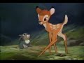 Thumper Bits