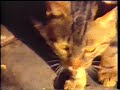 carabanchel la otra orilla  parte 1