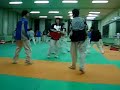 taekwondo training in korea