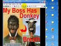 How to Install Irfanview Image Graphic Software How to Install Irfanview Image Graphic Software