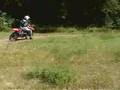 mw jm backyard mx 2