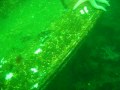 Sunken Boat