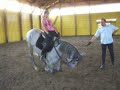 dressage with somesh