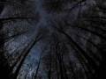 Genocidio - Black Planet