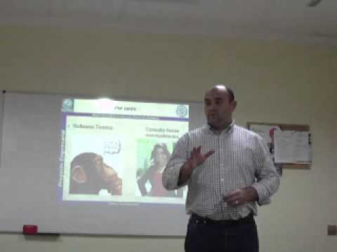 Plan de empresa (eventualidades) Reproducir vídeo