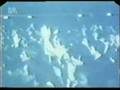 Rheingold Live - Fan Fan Fanatisch