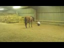 Kobie (last Day Together) ~ Better With Time.