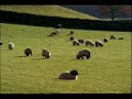 The Lark Ascending - Ralph Vaughan Williams