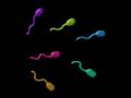 Master Wel - When I Was A Sperm